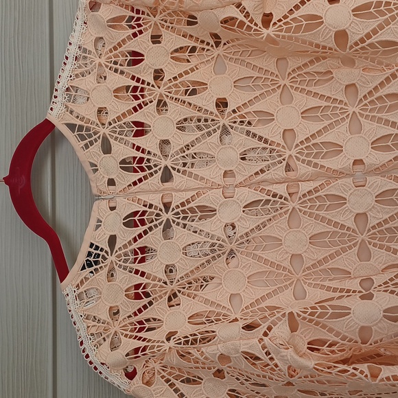 NWOT Sandro Paris Kezel Shift Dress with Embroidery - Picture 5 of 7